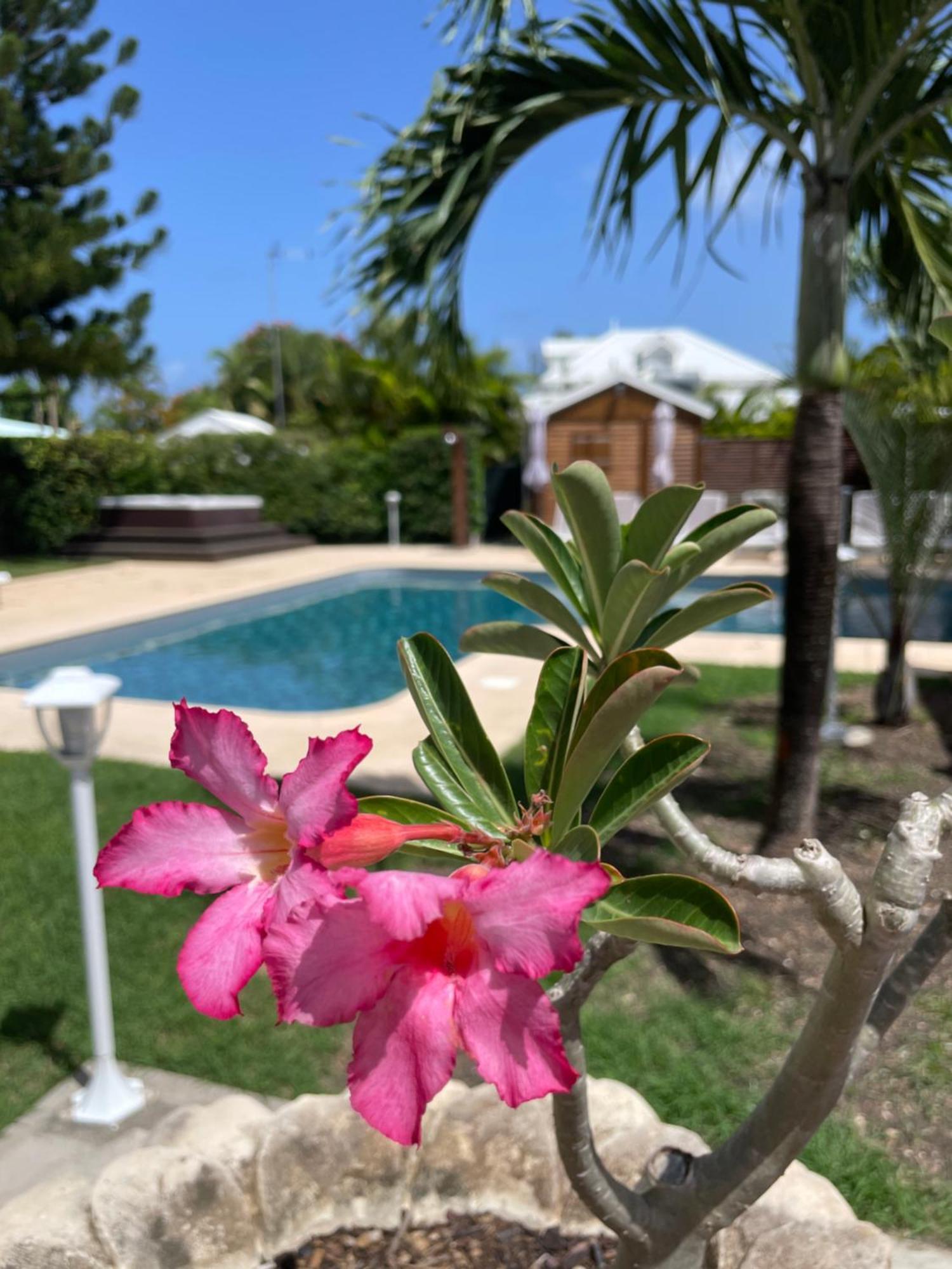 D'hotes Chez Flo 4* Saint-Francois (Grande-Terre)